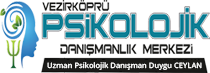 Uzman Psikolojik Danışman Duygu Ceylan